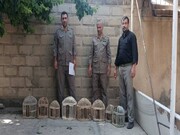 هشت قطعه کبک وحشی از دست متخلف شکار در دیواندره نجات یافت