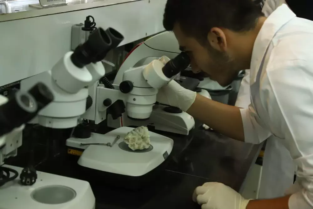 وجود ۷۷۰ نمونه جانوری در کلکسیون جانوران دریایی واحد علوم و تحقیقات