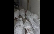 Israel commits horrific massacres in western Gaza: Euro-Med Monitor