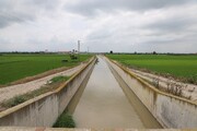 ۴۵۰ میلیون متر مکعب آب در کشتزارهای مازندران توزیع شد