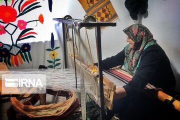 طرح «بانوک» در تهران اجرایی می‌شود
