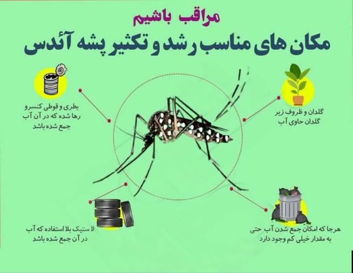 پشه آئدس به استان تهران نرسیده و فقط یک بیمار شناسایی شده است