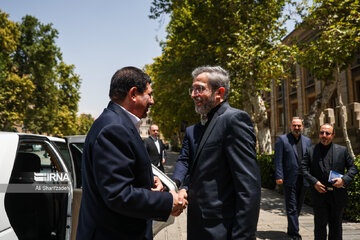 Ceremonia conmemorativa por el canciller mártir de Irán