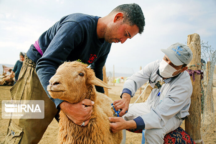 نهضت خدمات پزشکی رایگان به بیماران مناطق کم برخوردار خوزستان ادامه دارد