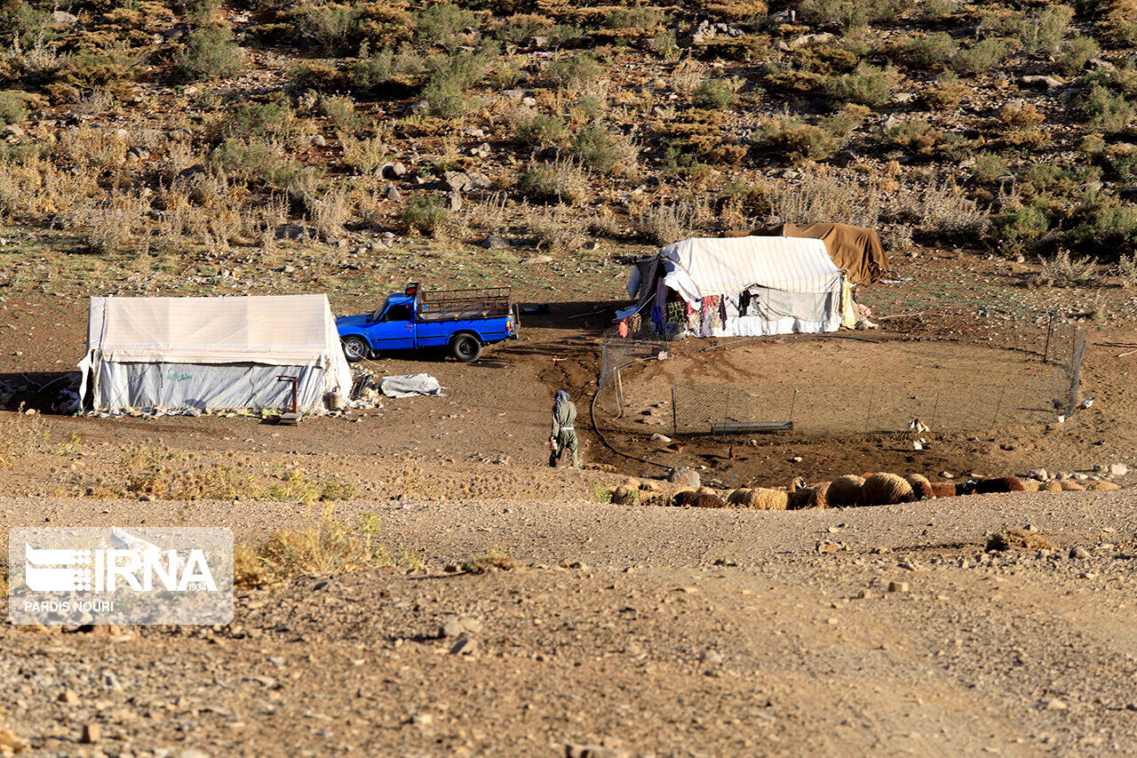 تولیدات عشایر خراسان جنوبی افزایش یافت تولیدات عشایر خراسان جنوبی افزایش یافت