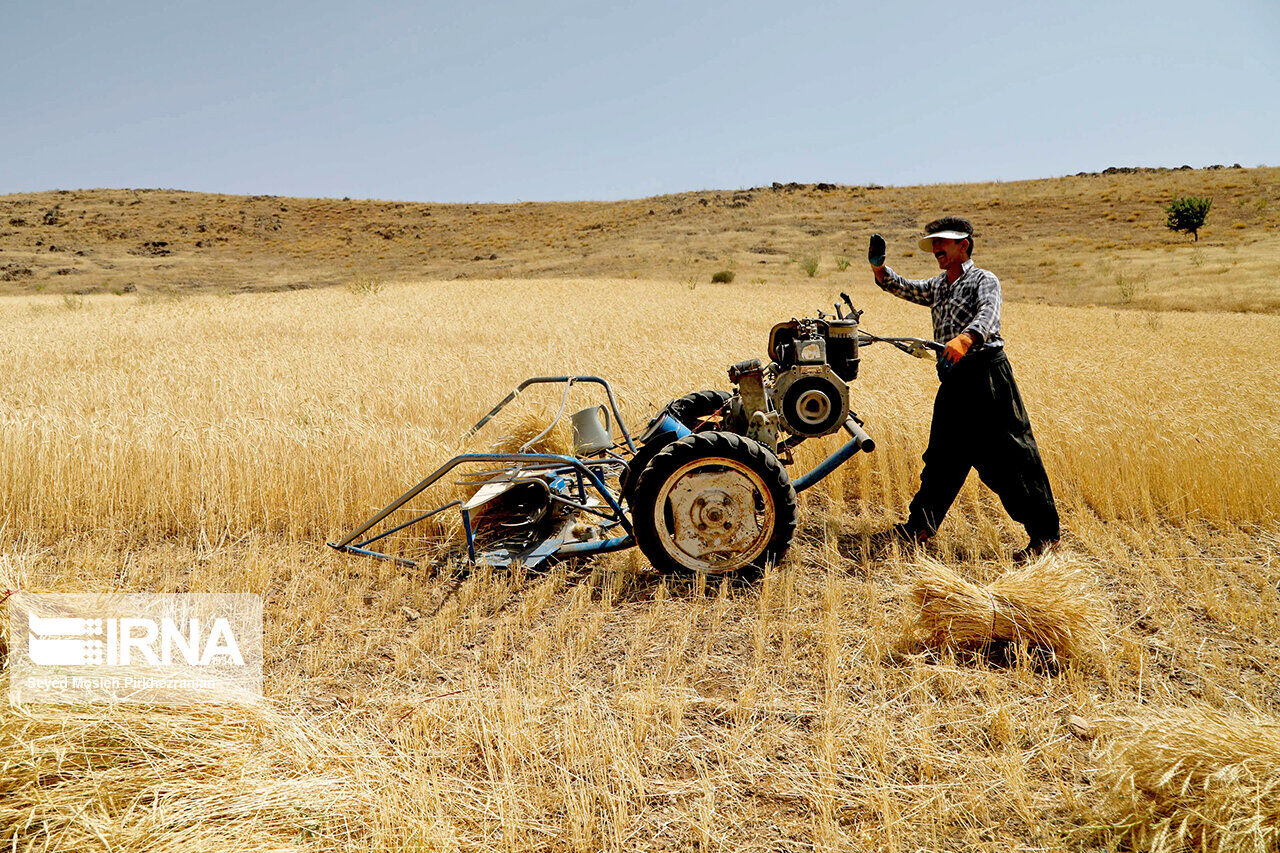 تمنایی بر دستان پینه بسته و خالی کشاورزان استان مرکزی