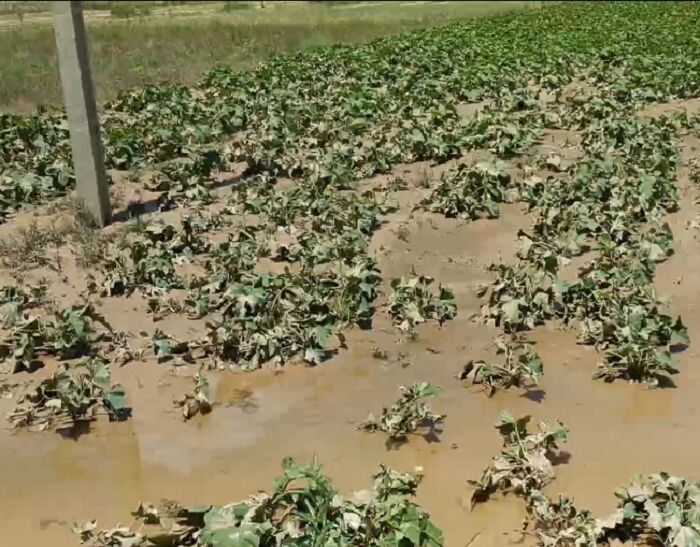 سیل در مهربان ۱۰۰ میلیارد ریال خسارت وارد کرد سیل در مهربان ۱۰۰ میلیارد ریال خسارت وارد کرد