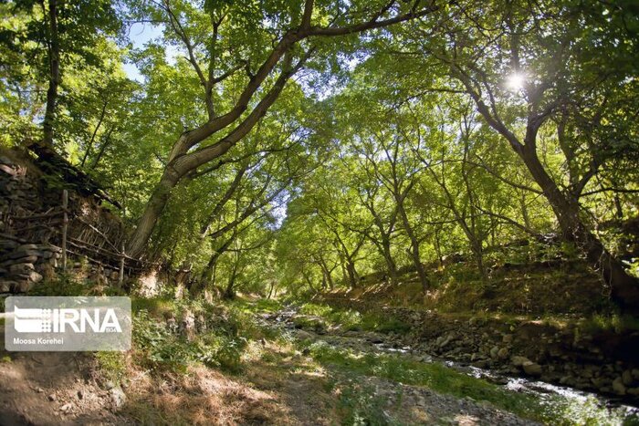 مازندران بر مدار ۳۵ درجه 