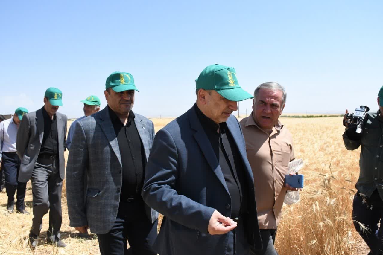 تامین غذای جمعیت ۱۰۳ میلیونی افق ۱۴۳۰ مستلزم افزایش بهره وری بخش کشاورزی است تامین غذای جمعیت ۱۰۳ میلیونی افق ۱۴۳۰ مستلزم افزایش بهره وری بخش کشاورزی است