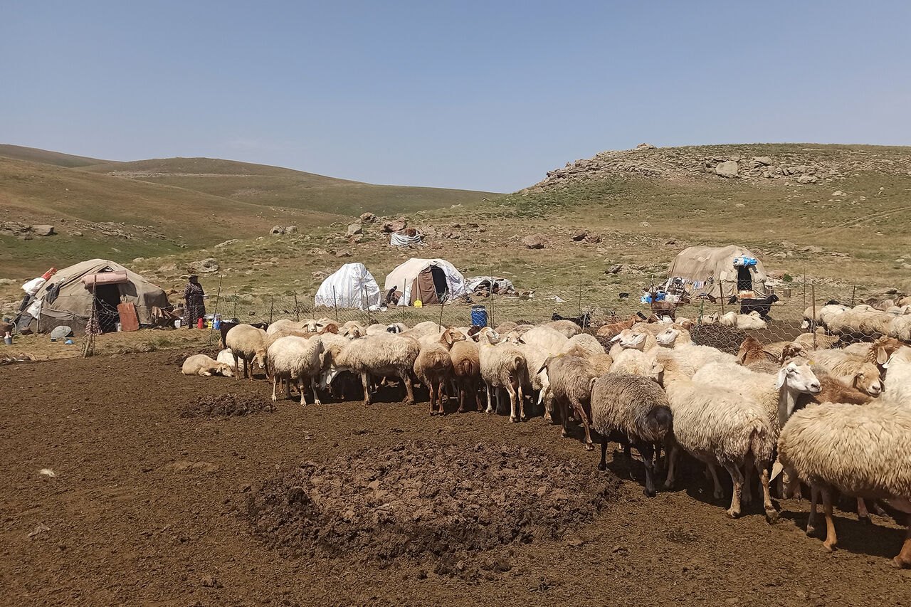 فرماندار گیلانغرب از صدور کارت تردد برای عشایر منطقه سومار خبر داد