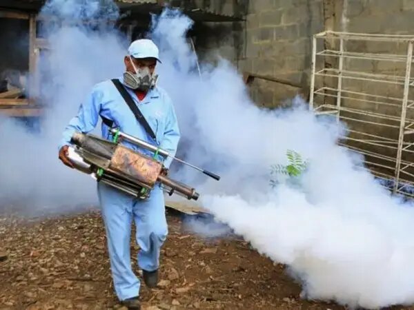 ۴۰ شهر ایران درگیر پشه آئدس/مبارزه در ۸۷ نقطه کشور در حال انجام است