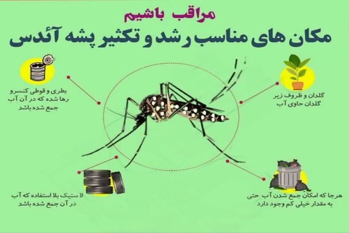 شناسایی بیش از ۱۷۸ مورد مثبت ابتلا به تب دنگی در کشور