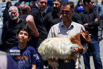 El ritual tradicional “Youm al-Abás” en Zanyán