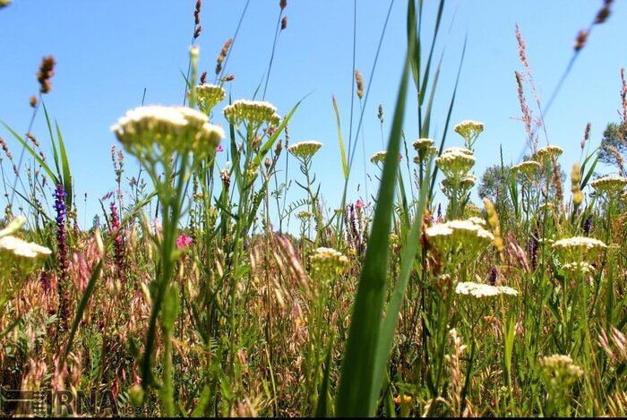 پایان عصر یخبندان؛ هوای مازندران گرم میشود