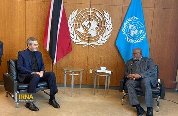 Iran’s acting FM meets UNGA president in NY