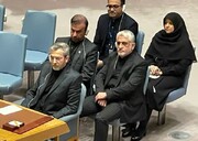 باقري: نهج السياسة الخارجية للحكومة الايرانية الجديدة تعزيز التعددية