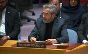 ايران تطلب من مجلس الامن الدولي ارغام الكيان الصهيوني على وقف الحرب في غزة