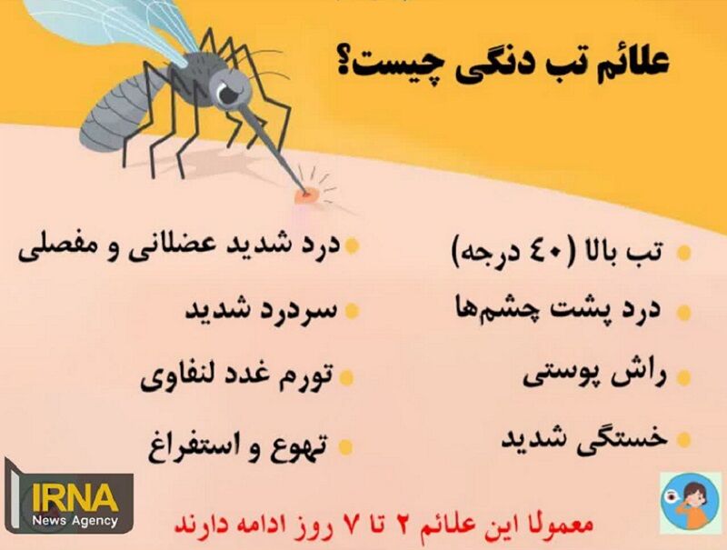 شناسایی ۸۳۴ بیمار مبتلا به تب دنگی در چابهار - ایرنا