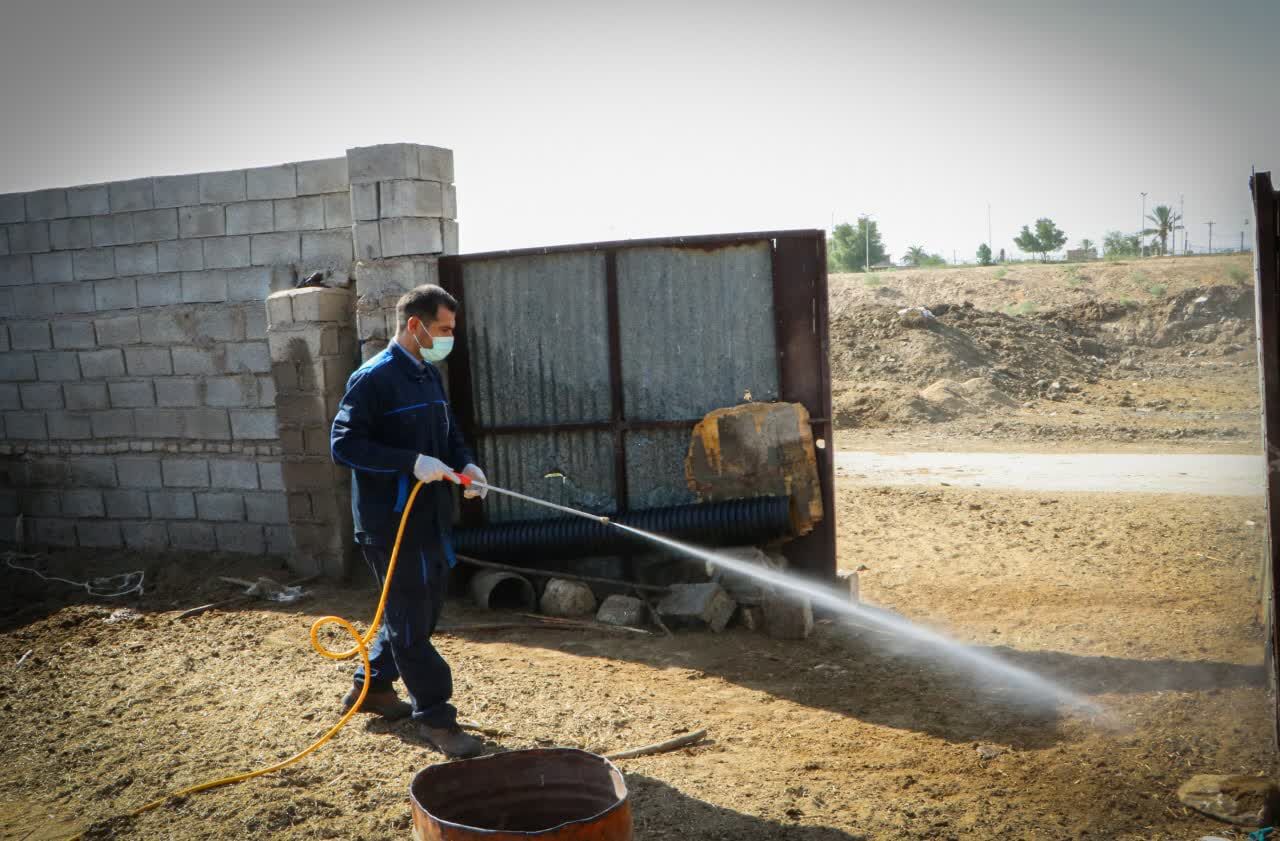 جایگاه‌های نگهداری دام اندیمشک برای پیشگیری از تب کریمه کنگو سمپاشی شد