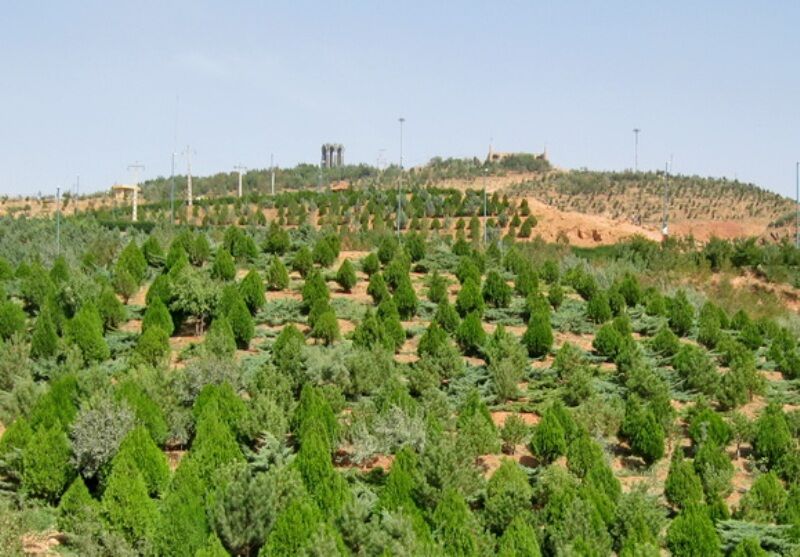 ۱۵.۵ هکتار به فضای سبز تبریز اضافه شد ۱۵.۵ هکتار به فضای سبز تبریز اضافه شد