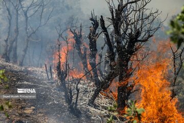 آتش‌سوزی جنگل‌های "شاهیوند" چگنی پس از ۱۰ ساعت مهار شد
