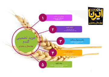 اینفوگرافیک |خرید تضمینی گندم در چهارمحال و بختیاری