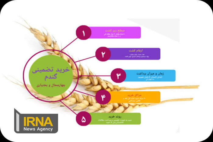 اینفوگرافیک |خرید تضمینی گندم در چهارمحال و بختیاری