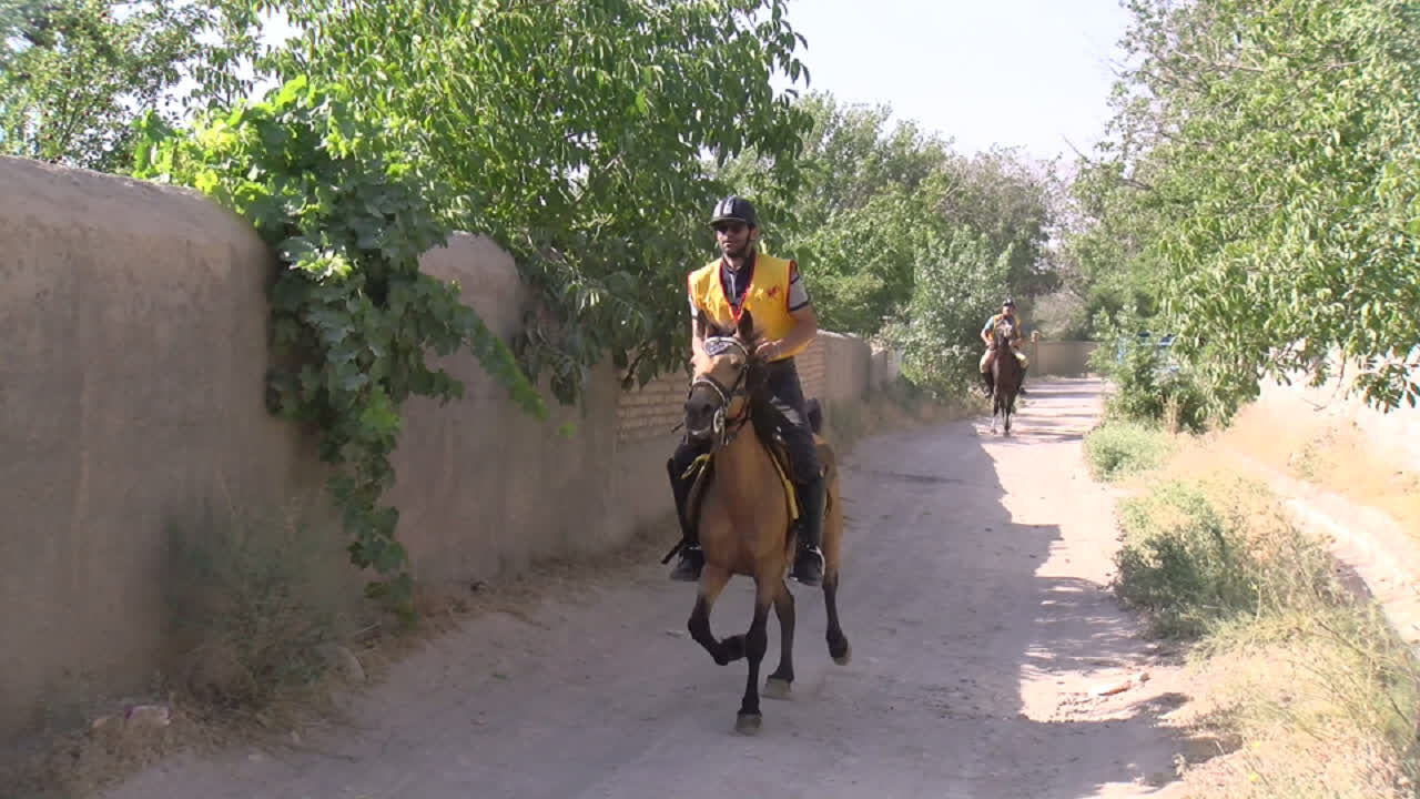 مسابقات سوارکاری استقامت شمالغرب کشور در مراغه برگزار شد مسابقات سوارکاری استقامت شمالغرب کشور در مراغه برگزار شد