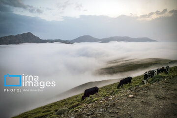 Pastos de verano en montañas de Irán 