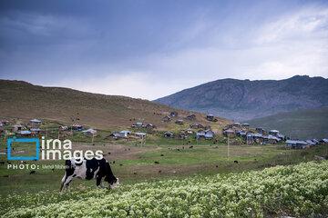 Pastos de verano en montañas de Irán 