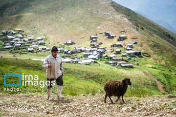 Pastos de verano en montañas de Irán 