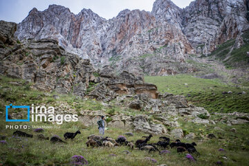 Pastos de verano en montañas de Irán 