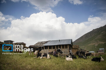 Pastos de verano en montañas de Irán 