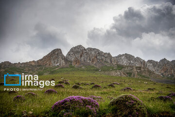 Pastos de verano en montañas de Irán 