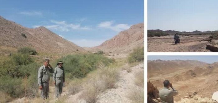 طرح پایش زیستگاههای حیات وحش در سبزوار به اجرا درآمد