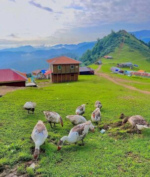 Горные районы Масала – замечательный опыт стояния на облаках.