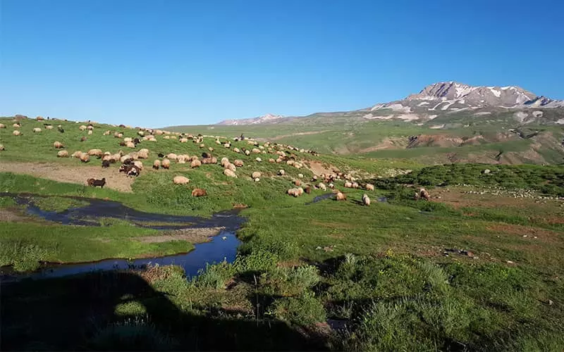 دریاچه دالامپر؛ گنجینهای طبیعی در نزدیکی ارومیه