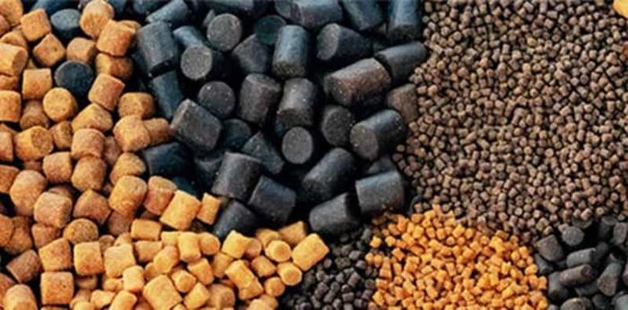 برای سه شنبه/ توسعه اقتصادی شیلات فارس با رکوردشکنی در صادرات