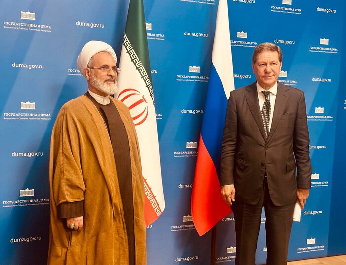 Russia official hopes upgraded relations with Iran