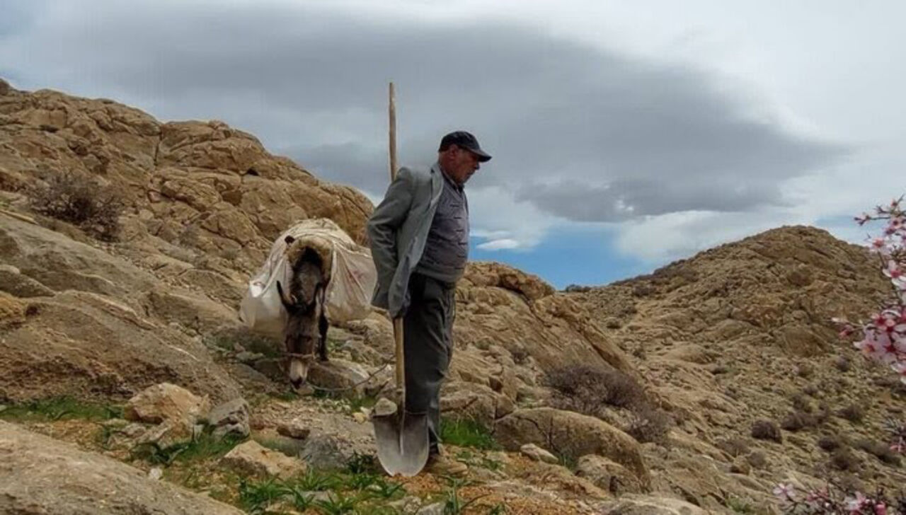 "ارجنا" در شهرکرد رونمایی شد