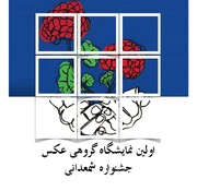 اثر عکاس ایرنای لرستان میان آثار برگزیده در نمایشگاه عکس شمعدانی