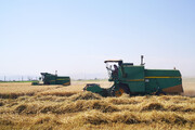 بیش از ۳۰ هزار میلیارد ریال باقیمانده مطالبات کشاورزان خوزستانی به زودی پرداخت می‌شود