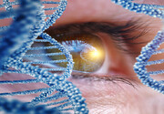 Iran develops way to prevent blindness due to ‘retinitis pigmentosa’