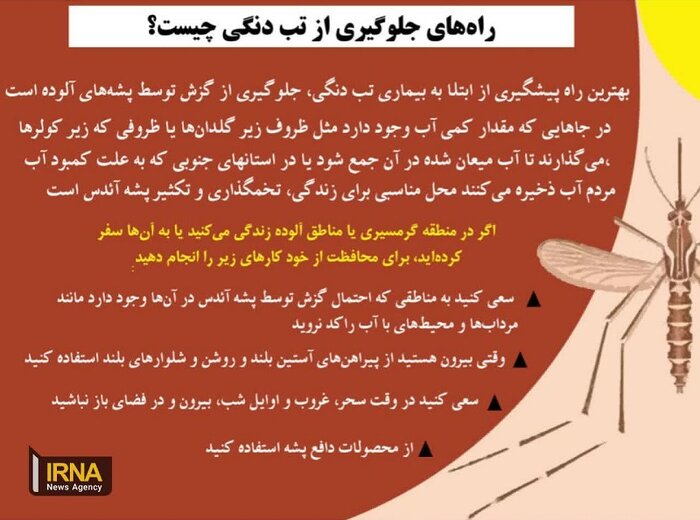 تب دنگی یا استخوان شکن را جدی بگیریم/ شناسایی ۲۲۶ مورد از ابتدای سال