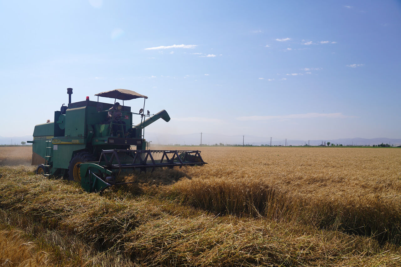 خرید توافقی ۶۵ هزار و ۹۵۰ تن محصول کشاورزی در خراسان جنوبی خرید توافقی ۶۵ هزار و ۹۵۰ تن محصول کشاورزی در خراسان جنوبی