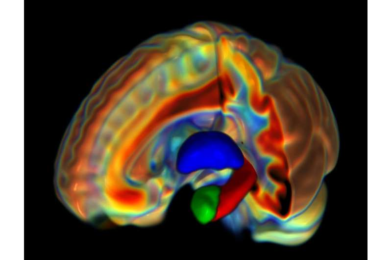 چرا ابتلای زنان و مردان به بیماریهای مرتبط با سلامت روان یکسان نیست؟