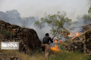 منطقه حفاظت شده "کوه سرخ" گچساران طعمه حریق شد