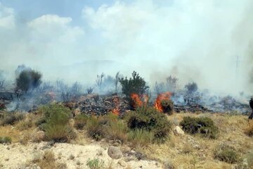 بیش‌ از سه هکتار از اراضی جنگلی شهرستان بافت طعمه آتش شد