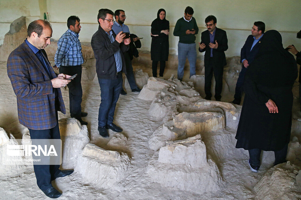 شکارِ تخیل طبیعتگردان در دره گرگ مراغه شکارِ تخیل طبیعتگردان در دره گرگ مراغه