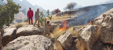 پس از چهار روز؛ آتش مهیب کوه لار باشت مهار شد